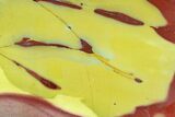 Polished Mookaite Jasper Slab - Australia #86615-1